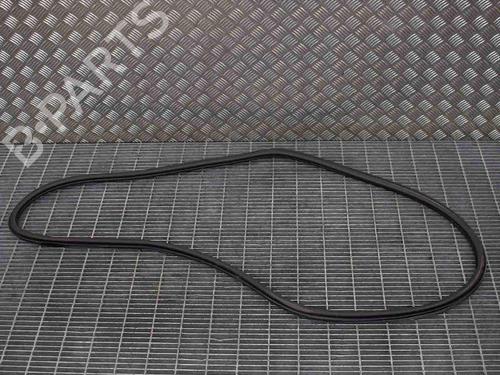 Used Rubber door seal SKODA RAPID (NH3, NK3, NK6) 1.6 TDI (105 hp) 14664097