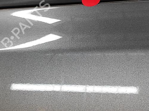 Left front door NISSAN LEAF (ZE0) Electric | BP31592560C2 