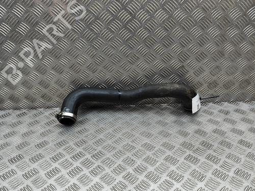 Pipe LAND ROVER RANGE ROVER SPORT II (L494) 4.4 SDV8 4x4 | BP29830088M125