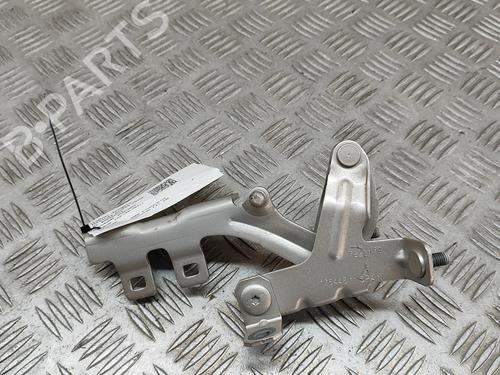 Hinge/Door check strap BMW 6 Convertible (F12) 650 i xDrive | BP24820407C146 