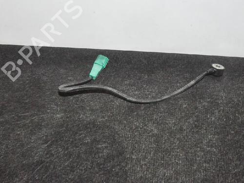 Electronic sensor AUDI A5 (8T3) S5 quattro | BP14659310M84 