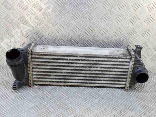 Used Intercooler MERCEDES-BENZ CITAN Box Body/MPV (W415) 111 CDI (415.603, 415.605) (110 hp) 13246148