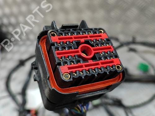 Wiring harness JAGUAR F-TYPE Coupe (X152) 3.0 SCV6 | BP22998399E16 