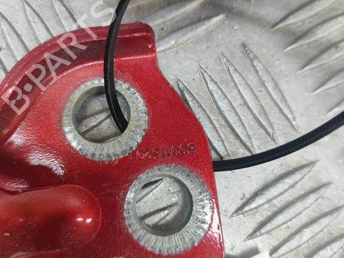 Hinge/Door check strap MG MG ZS SUV (AZS1) EV | BP28557826C146 