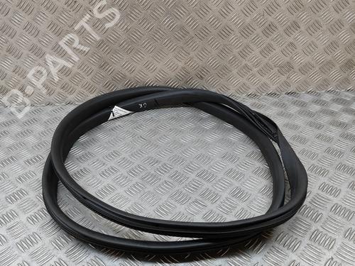 Gummiliste RENAULT AUSTRAL E-TECH 200 Hybrid (HGM2) | BP29007687C142 