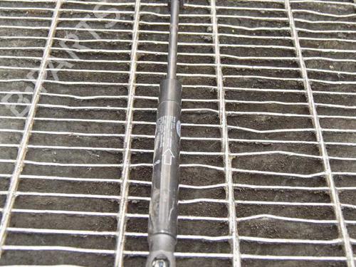 Hood lift support LAND ROVER RANGE ROVER EVOQUE (L538) 2.0 D | BP14618909C139 