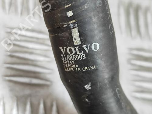 Pipe POLESTAR POLESTAR 2 (534) EV | BP28062433M125 - Image 7