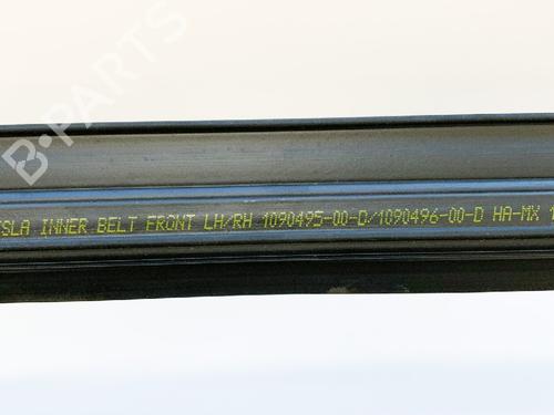 Door moulding trim TESLA MODEL 3 (5YJ3) EV | BP27748077C150 