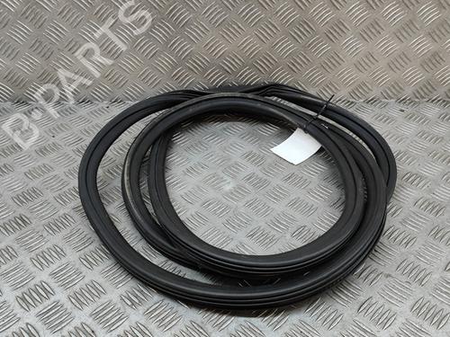 Rubber door seal AUDI Q5 (8RB) 3.0 TFSI quattro | BP26933404C142 