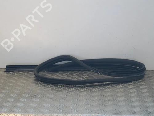 Gummiliste Gummiliste NISSAN QASHQAI I (J10, NJ10) 1.5 dCi (110 hp) 14661403 14661403