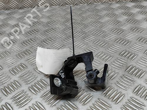 Hinge/Door check strap VW GOLF VII (5G1, BQ1, BE1, BE2) 2.0 R 4motion | BP21808882C146 