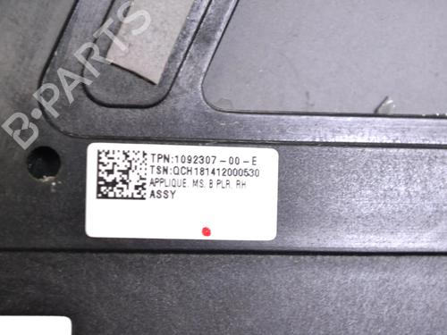 Dørliste TESLA MODEL S (5YJS) 75D AWD | BP30741320C150 