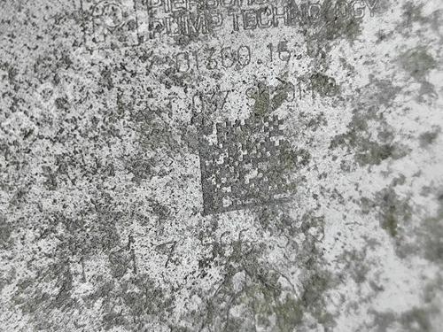  - Image 7