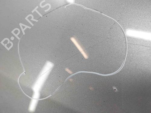 Hood TOYOTA RAV 4 V (_A5_, _H5_) 2.5 Hybrid AWD (AXAH54, AXAL54) | BP29637520C1 