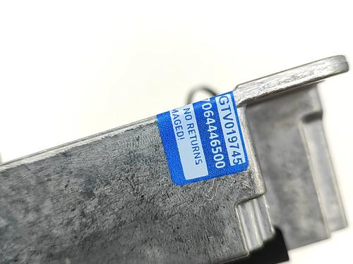 Electronic module BMW X5 (G05, F95) xDrive 30 d Mild-Hybrid | BP32500790M83 