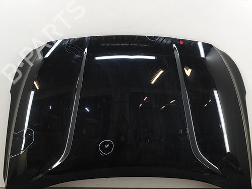 Used Hood HYUNDAI SANTA FÉ IV (TM, TMA) 2.2 CRDi AWD (200 hp) 28132059