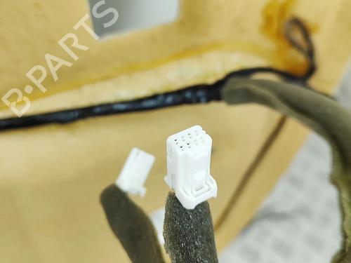 Cielo abitacolo NISSAN LEAF (ZE1) Electric | BP32088784I12 