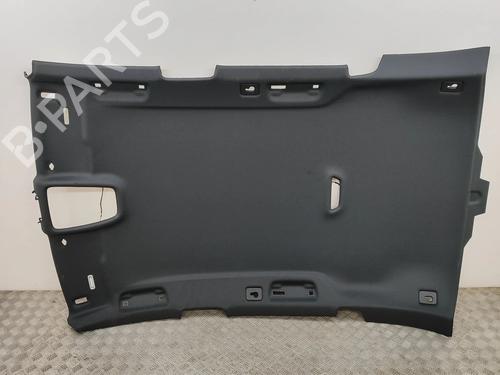 Tetto interno AUDI A4 B9 Avant (8W5, 8WD) 2.0 TDI (190 hp) 29541931