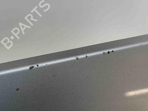 Door moulding trim BMW X3 (F25) xDrive 20 d | BP29310430C150 
