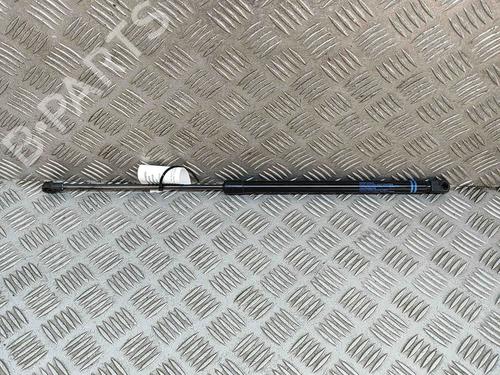 Tailgate lift support VW GOLF VIII (CD1, DA1) 1.5 TSI | BP27776418C138