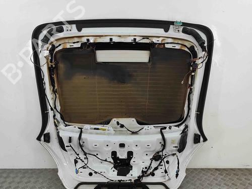 Tailgate PORSCHE PANAMERA (970) 3.0 D | BP29523894C6 