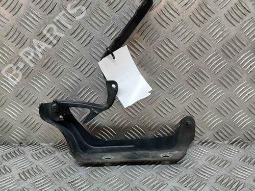 Hinge/Door check strap MASERATI QUATTROPORTE VI 3.0 D | BP24818386C146