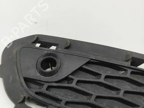 Grille LAND ROVER RANGE ROVER EVOQUE (L538) 2.0 D 4x4 | BP28434362C40 