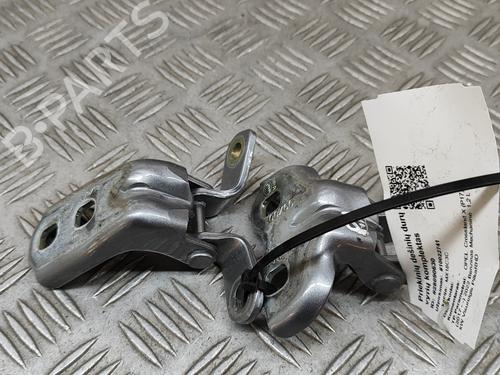 Hinge/Door check strap OPEL CROSSLAND X / CROSSLAND (P17, P2QO) 1.2 (75) | BP28553717C146 