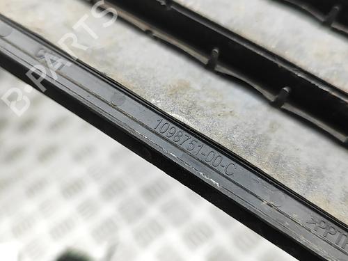 Grill TESLA MODEL 3 (5YJ3) EV AWD | BP33164317C40  - Image 5