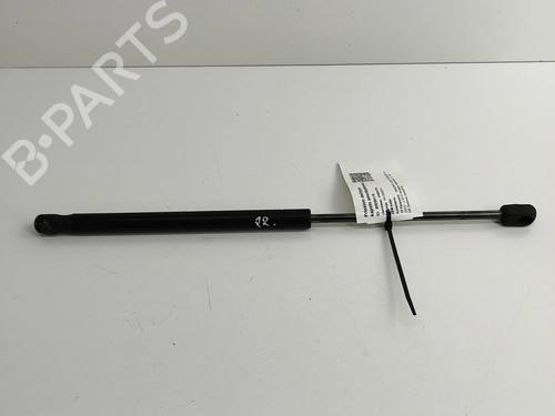 hood-lift-support-maserati-quattroporte-vi-2012-24818463 main image