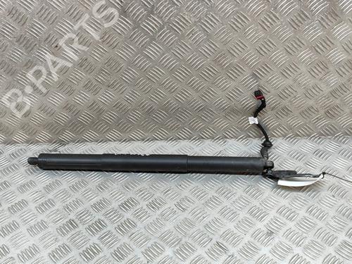 Used Tailgate lift support AUDI Q5 (FYB, FYG) 2.0 TDI (150 hp) 19282555