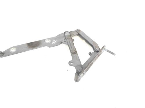 Used Hinge/Door check strap LAND ROVER RANGE ROVER SPORT I (L320) 3.0 D 4x4 (211 hp) 30894046