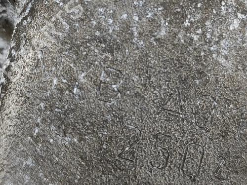 Gearbox VW CADDY IV Box Body/MPV (SAA, SAH) 2.0 TDI 4motion | BP17077202M3