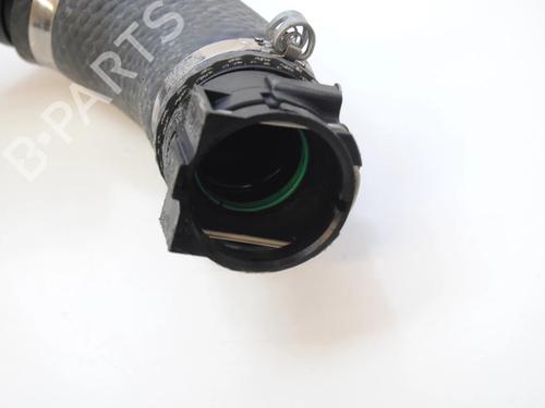 Intercooler pipe NISSAN JUKE (F15) 1.2 DIG-T | BP30268213M127 