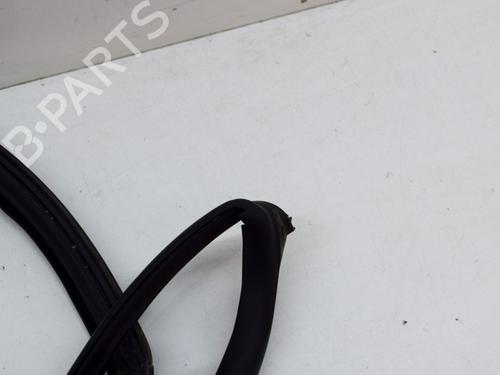 Rubber door seal TESLA MODEL S (5YJS) 75 | BP14631681C142 