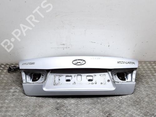 Used Tailgate HYUNDAI SONATA V (NF) 2.4 (162 hp) 9165857
