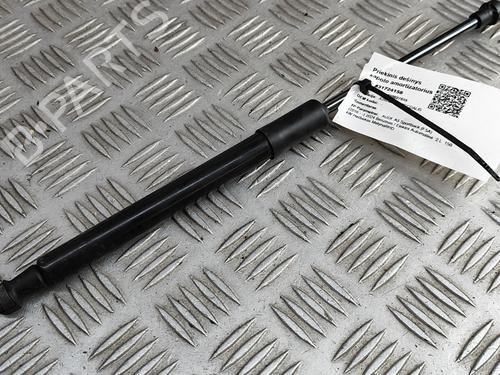 Hood lift support AUDI A5 Sportback (F5A, F5F) 40 TFSI Mild Hybrid | BP28446738C139