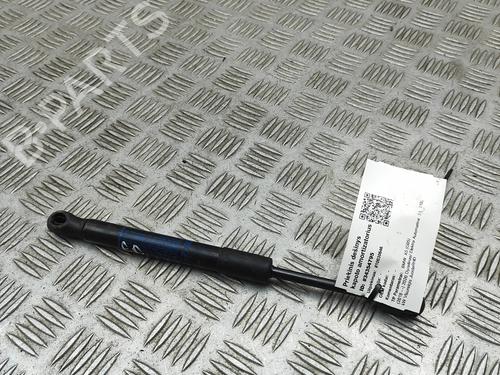 hood-lift-support-bmw-x5-g05-f95-2018-32973662 main image