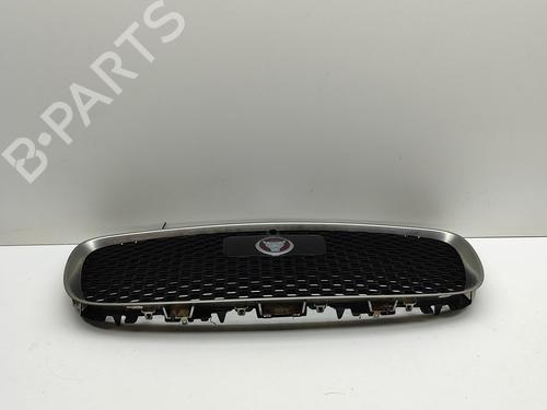 Grille JAGUAR F-PACE (X761) 2.0 TD4 | BP29830572C40 