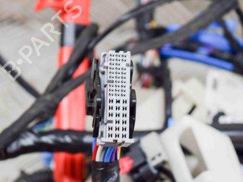 Wiring harness TESLA MODEL 3 (5YJ3) EV | BP27763196E16