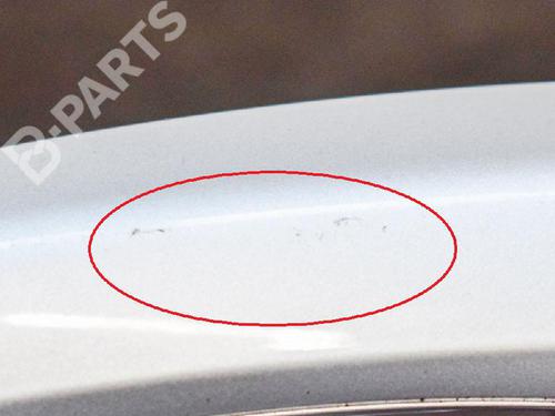 Rear left exterior door handle BMW 5 (F10) 520 d | BP9511520C130 