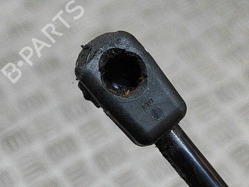 Tailgate lift support CITROËN C5 AIRCROSS (A_) 1.5 BlueHDi 130 (ACYHZJ, ACYHZR) | BP28552415C138 