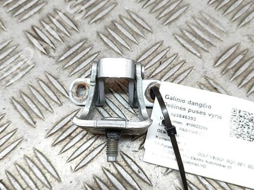 Used Hinge/Door check strap Hinge/Door check strap VW GOLF VII (5G1, BQ1, BE1, BE2) e-Golf (115 hp) 19284055 19284055