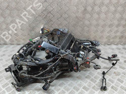 Ledningsnet POLESTAR POLESTAR 2 (534) EV (224 hp) 28548755