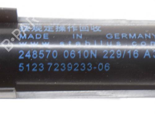 Hood lift support BMW 2 Coupe (F22, F87) 220 d | BP14620519C139 