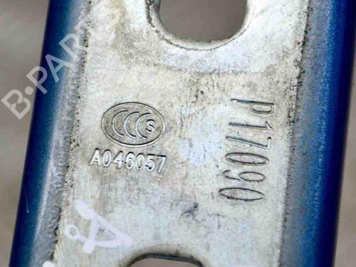 Hinge/Door check strap OPEL MOKKA / MOKKA X (J13) 1.4 (_76) | BP14628940C146