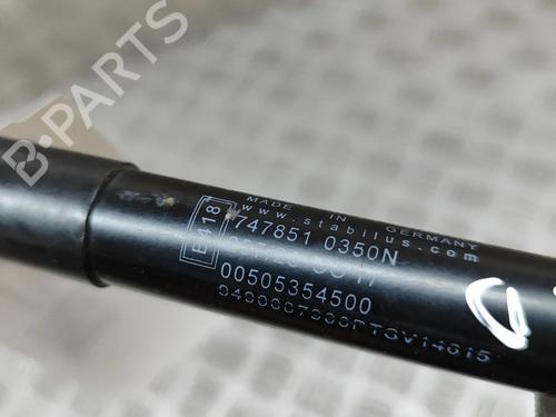 Hood lift support ALFA ROMEO STELVIO (949_) 2.0 Q4 (949.AXA2A) | BP28434847C139 