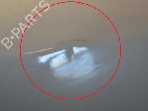 Left front door CITROËN C3 Pluriel (HB_) 1.6 | BP9510101C2 