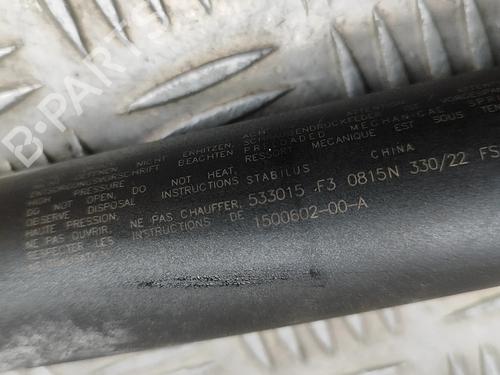 Tailgate lift support TESLA MODEL Y (5YJY) EV Performance All-wheel Drive | BP31314664C138 