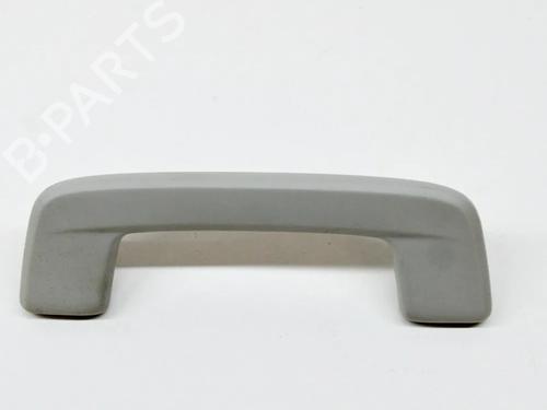 interior-roof-handle-audi-e-tron-gen-2018-33353835 main image